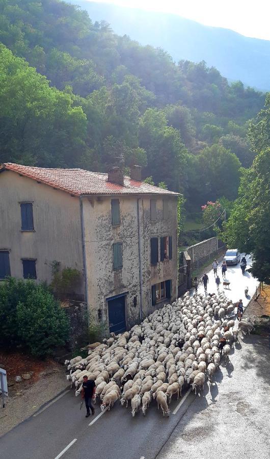 Auberge Cevenole Вальрог Экстерьер фото