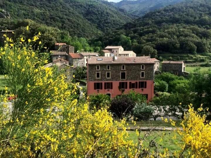 Auberge Cevenole Вальрог Экстерьер фото